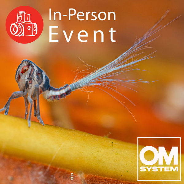 Beyond the Naked Eye: Mastering Macro Photography - Fri. Jun. 27 & Sat. Jun. 28
